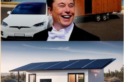 Inside Elon Musk’s $19,999 “Tesla Tiny House” Vision — The Futuristic Home That Could Rewrite the Rules of Affordable Living