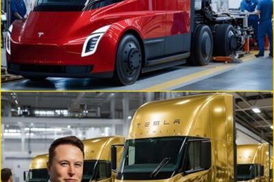 2026 Tesla Model 2 Finally Here — Starting at Just $15,990?! Elon Musk’s Crazy Compact EV Revealed