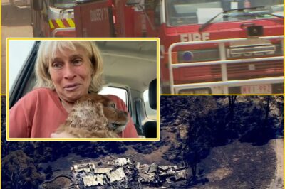 Pain, Ash and Anger — Longwood Fire Cause Confirmed as Residents Say the Nightma:re Isn’t Over