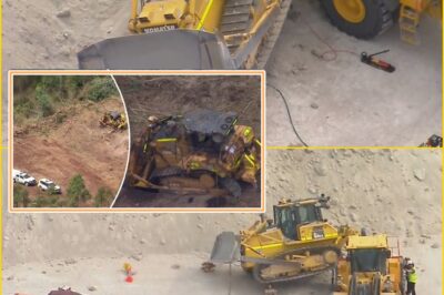 “A routine workday turned fatal in seconds” — Worker di-es after bulldozer overturns at Port of Brisbane, with authorities launching a major investigation into how the h0rr0r unfolded