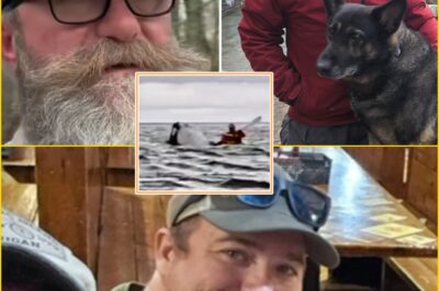 “He Might Still Be Alive” — Police Release Chi:lling CCTV of Chris Palmer’s Final Seconds at Sea, Showing a Mysterious Turn That Could Sh0ck You!