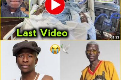 Bravo le Roux’s Final Moments Revealed — Heartbreaking Cause of D-e-a-th Leaves Fans in Sh0ck