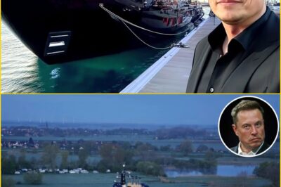 🚨 A $1 Million Yacht… or a Billion-Dollar Myth? — The Viral Story of Elon Musk’s “Golden Horizon” That Set Miami Ablaze