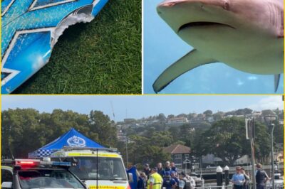 “IT CAME OUT OF NOWHERE” — 11-Year-Old Boy Cheats De-ath as Shark Launches Vi0lent Atta:ck on His Surfboard at Dee Why