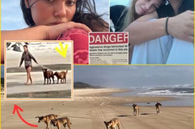 BREAKING: Chi:lling New Twist in Piper James Case — Police Confirm Her Clothing and Belongings Were Missing, While Her Car Was Found Six Hours Away