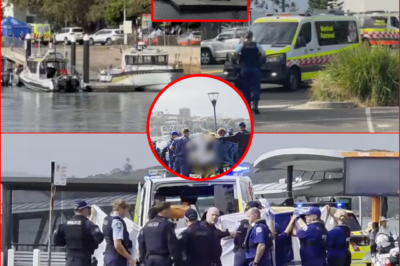 🦈 “THE BOY WAS BITTEN BY A LARGE SHARK…” — Police Reveal Chi-lling Details In The Sh0cking Attack Involving A 13-Year-Old Boy In Sydney, Leaving The Public Stunned