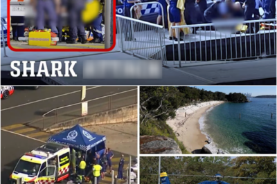 “THE SCR-EAMS NO ONE WAS READY FOR…” — A normal afternoon at a Sydney beach turns into a nightmare, as a 12-year-old fights for his lif-e and a moment of childhood innocence is shattered forever
