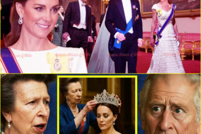 👑  ROYAL SH0CKER! A Will, a Tiara, and the Fury No One Saw Coming…