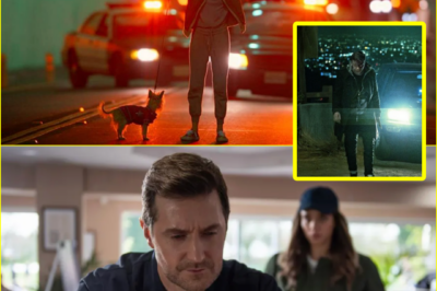 Harlan Coben’s Family N!ghtmare Unfolds — When One Small Secret Turns A Perfect Life Into A Twisting, Heart-Stopping Mystery