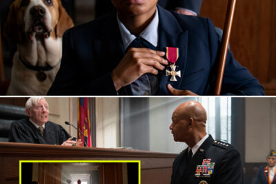 Judge Orders Disabled Marine to Remove Her Navy Cross — Then a Four-Star General Walks In