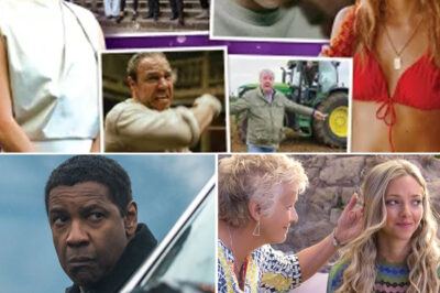 2025’s Biggest TV Hits and Sh0cking Flops: Celebrity Traitors, Clarkson’s Farm and the 10 Shows That Completely Bombed
