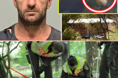Police K9s Make Chi-l-ling Discovery Near Kidman Way Before Julian Ingram Vanished