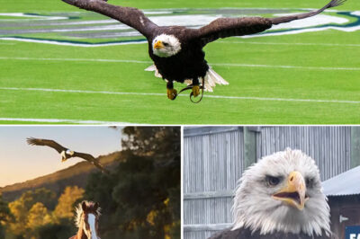 It Looked Like Hollywood Magic… But There Were No Tricks Involved. The Stadium Went Silent for One Split Second — What Happened Next Was 100% Real