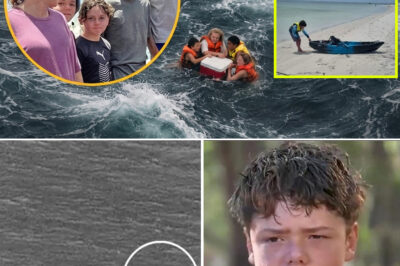 Teen Swims 4 Hours Through Shark-Infested Sea to Save Stranded Family, Rescue Ends in Tears