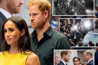 “THE LINE IS DRAWN” 📉 — Palace Delivers Final Decision on Harry and Meghan, Making Any Return Officially Impossible