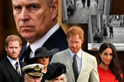 PALACE PRESSURE BUILDS — As Andrew’s Arrest Sends Shockwaves Through the Firm, Harry and Meghan Face a Financial and Royal Reckoning