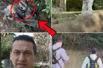 DEVASTATING UPDATE! The search for Dezi Freeman’s b0dy remains underway after authorities confirmed he is believed to have d:i-ed in the forest.