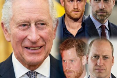 HARRY’S FINAL PLEA REJECTED — Prince Harry’s Secret Bid to Reconcile Ends in William’s Icy Verdict, as the Door to the Monarchy Is Slammed Shut Forever