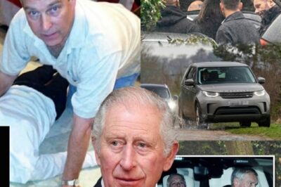 MONARCHY IN CRISIS: PRESSURE MOUNTS TO STRIP EX-PRINCE ANDREW FROM LINE OF SUCCESSION AS ARREST SHOCKS THE CROWN