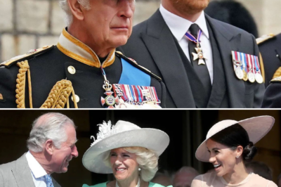 King Charles surprises fans by “matching” Meghan Markle’s idea amid the storm of their royal rift!