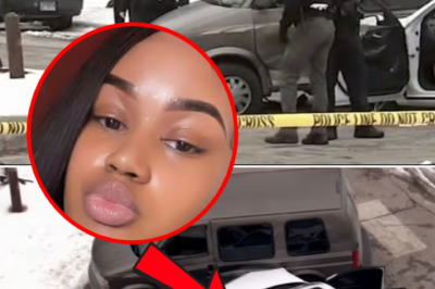 Gabryel Ayers’ family tearfully provides an update on the health of their less-than-one-year-old granddaughter after witnessing her mother suffer dozens of gu-nsh0t wounds that led to her d3:ath