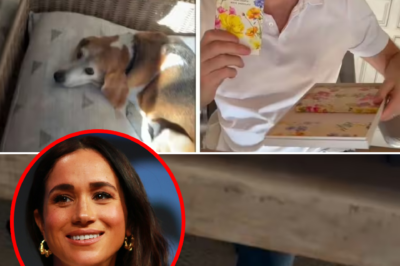 Meghan Markle shares a video of Harry in an incredibly cute moment that has set the media ablaze