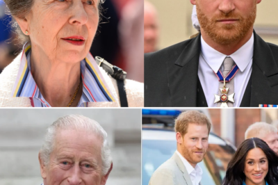 A FATAL BLOW: Princess Anne exposes Harry and Meghan in front of the Royals — systematically destroying the manipulative couple’s path home