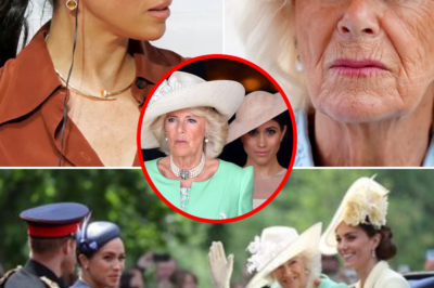 Queen Camilla draws a line in the sand: Refuses to be in the same room as Meghan Markle!