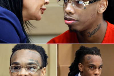 “No crimes occurred”: Attorneys are seeking every possible way for YNW Melly to be released on bail as soon as possible