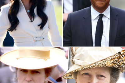 Fading Fame: Are the Sussexes Returning to ‘Gold-Dig’ the Royal Family? – Princess Anne Exposes It Immediately!