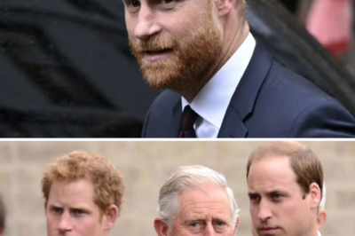 Even though Harry and his family are in the same country, they seem to be in two completely different worlds