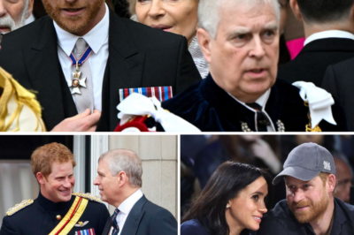 Harry Issues Shocking ‘Trade-Off’ Condition: Claiming to be the Palace’s Last Hope Amid the Andrew Storm