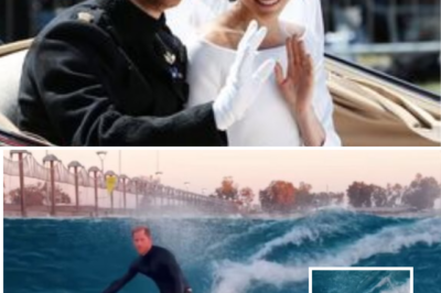 “WHAT ROYAL WATCHERS ARE SAYING…” — Prince Harry Video Branded ‘Proof He’s Gone Full California’ Six Years After Megxit