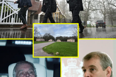 “ROYAL LODGE RAID SHOCK!” — Major Police Update After Officers Storm Property Linked to Prince Andrew