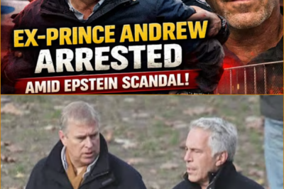 ARRESTED ON HIS BIRTHDAY: King Charles’ Brother Andrew Detained in Explosive Epstein Misconduct Probe