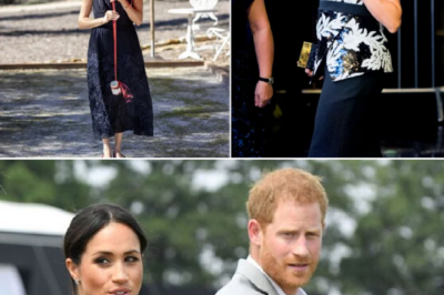 Out of cash for new clothes? Meghan forced to recycle old outfits to promote her struggling brand