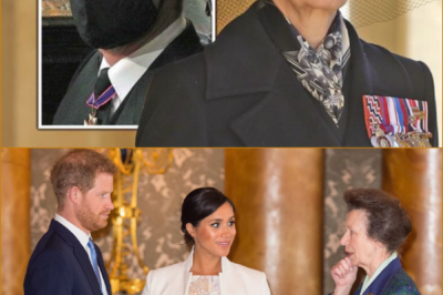 ROYAL COMEBACK OBLITERATED: WHAT THE PUBLIC IS FORCED TO SEE IS MANIPULATED BY SUSSEXES – Princess Anne Detonates Harry & Meghan’s Master Plan
