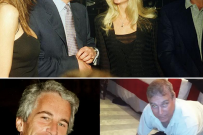 A ROYAL FIRST: STAFF REFUSE TO SERVE DISGRACED MEMBER AS THE SCANDAL DEEPENS!