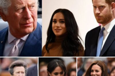 THE CLANDESTINE TRAP—Sussex Return Terminated!