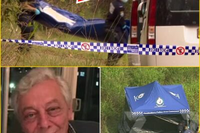 “THIS IS NOT THE OUTCOME WE HOPED FOR.” — Police Break Silence After Grim Discovery in Sydney