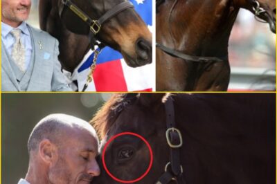 A Champion’s Last Gallop — Three-Time Melbourne Cup Legend Makybe Diva Pa-sses Away at 26 Amid Emotional Revelations