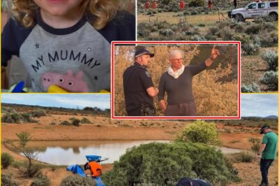 Gus Lamont’s Grandparents Speak Out for the First Time — And Their Words Spark More Questions Than Answers