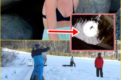 A Moment That Froze the Mountain: Eyewitnesses Reveal the Terrif:ying Seconds Before an Australian Woman D-i-e-d on a Japanese Ski Lift — And Why Authorities Won’t Describe What They Saw