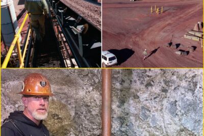 Northern Territory Gold Mine Suspended After Fatal Machinery Acci:dent — Investigators Probe Unprecedented Safety Failures