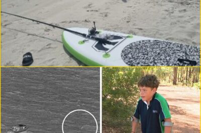 Hours of Terror in Open Water: Appelbee Family Drifted Helplessly Off West Australia Coast While Hotel Stayed Silent — Investigation Reveals Sh0cking Delay That Could Have Cost a Mother and Her Three Kids Their Lives