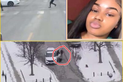 “SHE NEVER SAW IT COMING” — New Details Emerge After a Chicago Mother Was Hit by Over 50 Sh0ts in Daylight, While Her Baby Was Left Unscathed