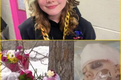 A Child’s Split-Second Decision: The Heroism of Maya at Tumbler Ridge Secondary