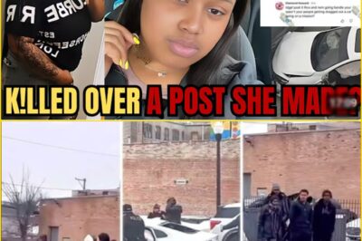 Chicago Doubles Reward to $20,000 as Hu:nt Intensifies for K-i-llers Who Executed a Young Mother in Daylight