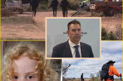 “They Are Lies,” Police Say as Case of Missing Four-Year-Old Gus Lamont Escalates to Major Crim:e