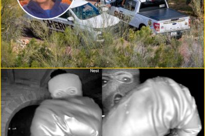 Mystery Deepens in Guthrie Case: Sheriff Reveals Glove DNA Found at Scene Matches No One in National Database, Raising New Questions About Elusive Suspect